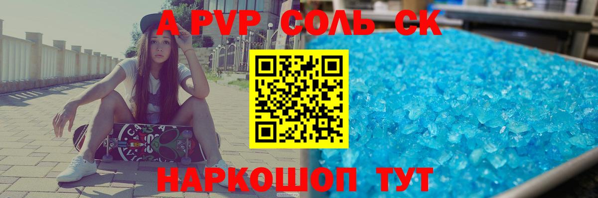 A PVP СК КРИС Петровск