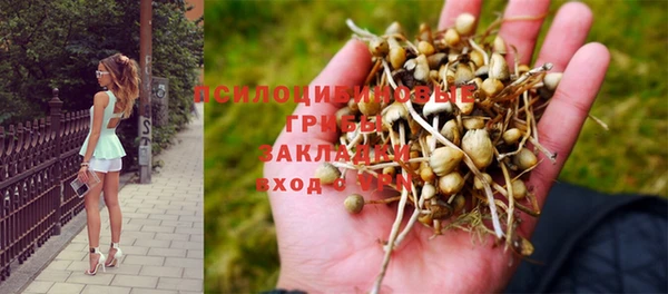 прущая мука Надым