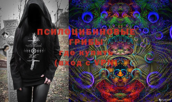 2c-b Бежецк