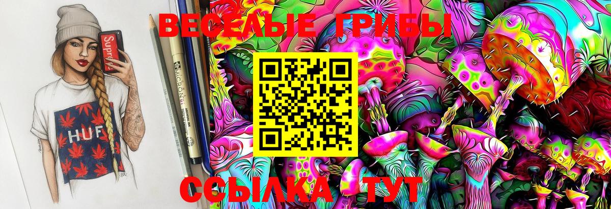 Псилоцибиновые грибы Cubensis Петровск