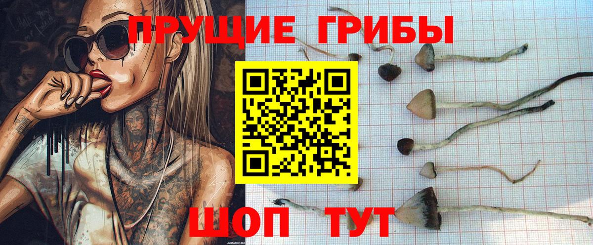 Амфетамин   NBOMe  Мефедрон   COCAIN  Меф МЯУ МЯУ   А ПВП СК кристаллы  Марихуана  МДМА  Петровск  ГАШИШ  МАРИХУАНА 