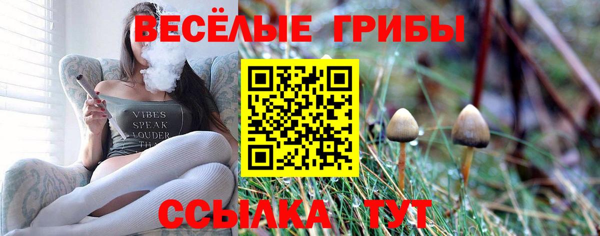 Галлюциногенные грибы ЛСД Петровск