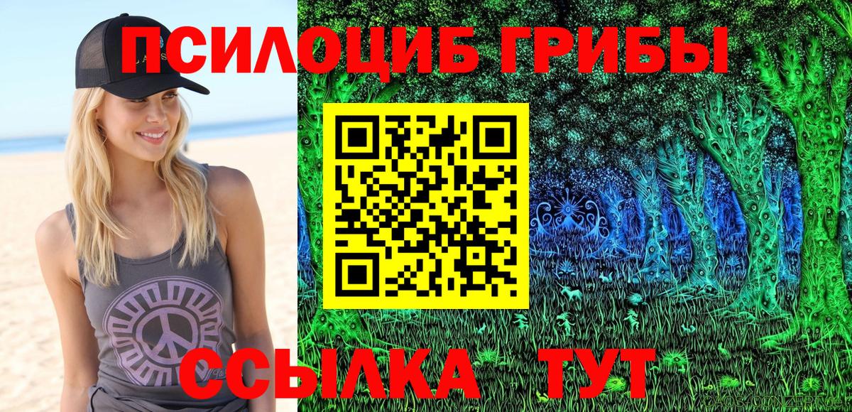 Псилоцибиновые грибы GOLDEN TEACHER  Петровск  Псилоцибиновые грибы мухоморы 